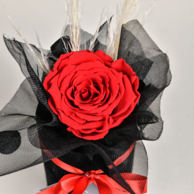 Crvena ruža za večnu ljubav