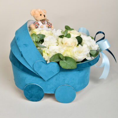 Plava cvetna kolevka za bebe
