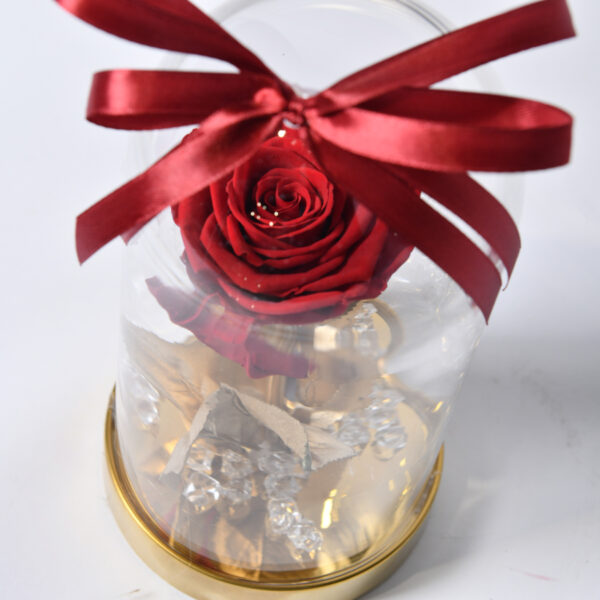 eternal rose - dehydrated rose - flower delivery - online flower shop Belgrade