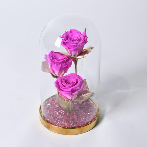 eternal rose - dehydrated rose - flower delivery Belgrade - online flower shop Belgrade
