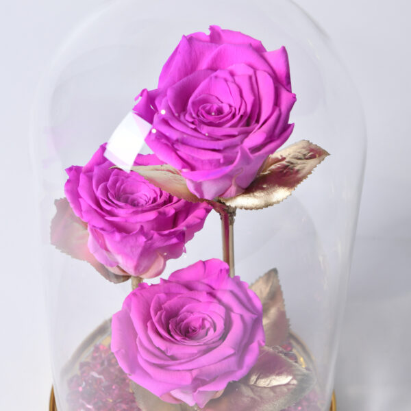 eternal rose - dehydrated rose - flower delivery Belgrade - online flower shop Belgrade