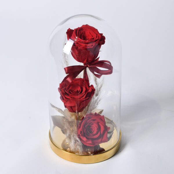 вечная роза - сушеная роза - доставка цветов Белград - интернет магазин цветов Белград